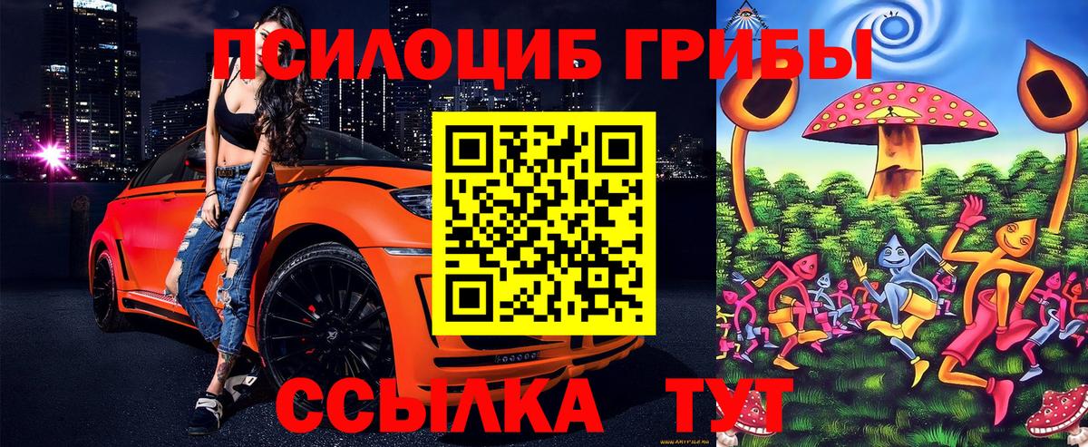 Псилоцибиновые грибы Psilocybe  Вход с VPN  Камень-на-Оби 